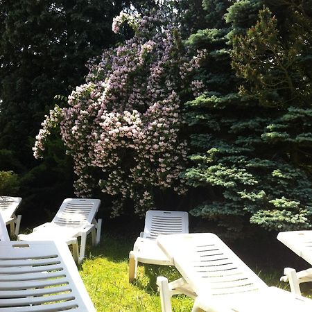 Zimmer Weiss Altenstädt Exteriör bild