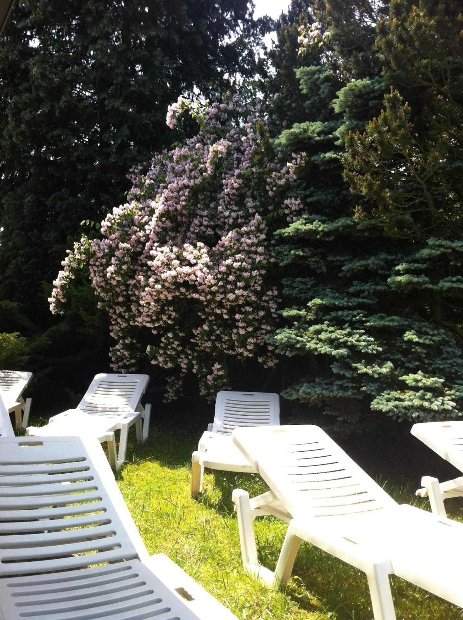 Zimmer Weiss Altenstädt Exteriör bild